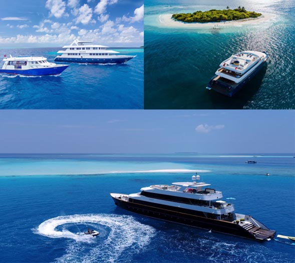 https://www.cmm.com.mv/wp-content/uploads/2021/03/marine-acon.jpg